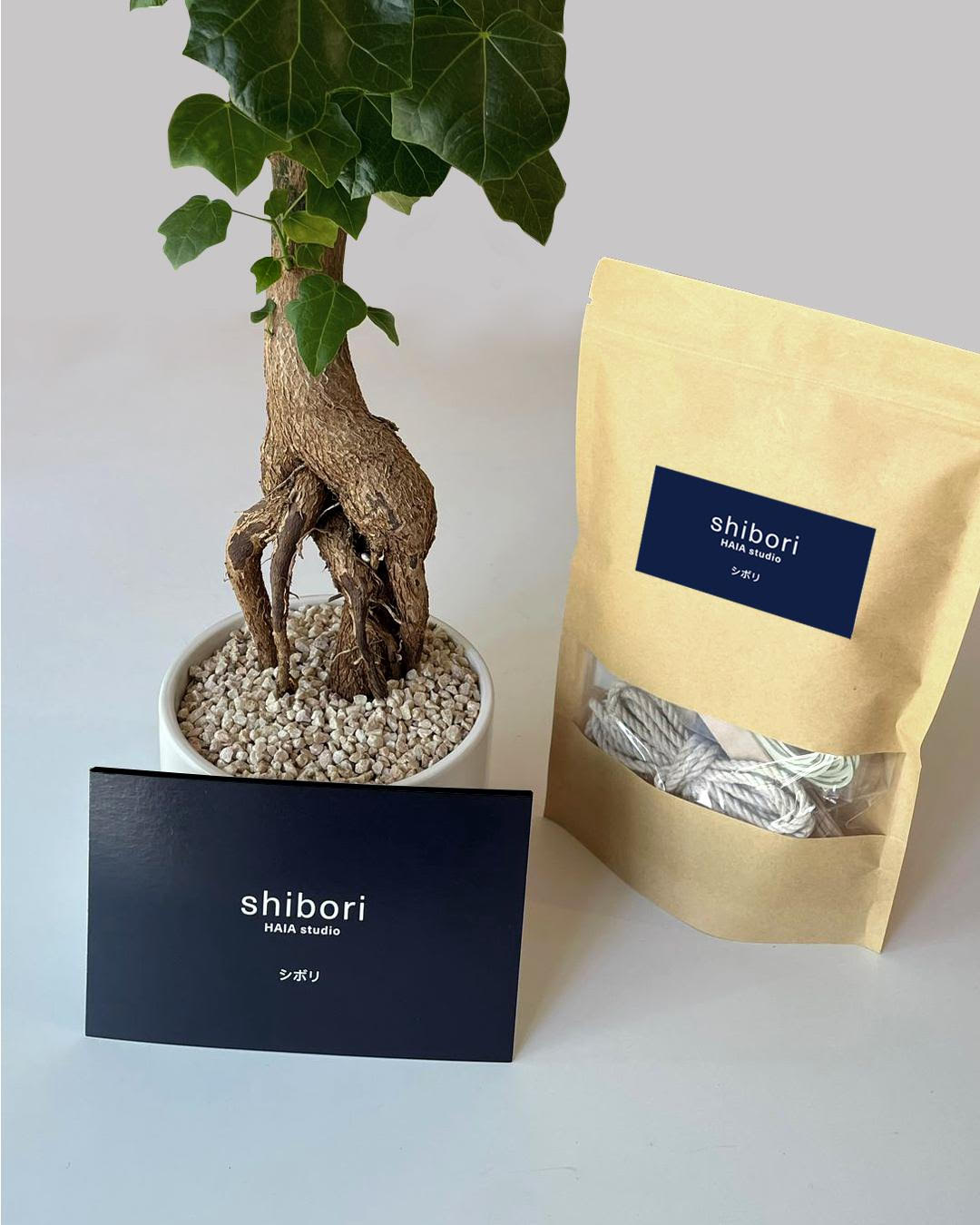 NEW ! Shibori Kit